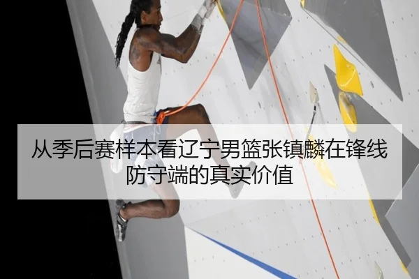 从季后赛样本看辽宁男篮张镇麟在锋线防守端的真实价值